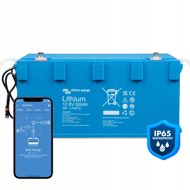 Victron Energy LiFePO4 Battery 12,8V/300Ah Ng