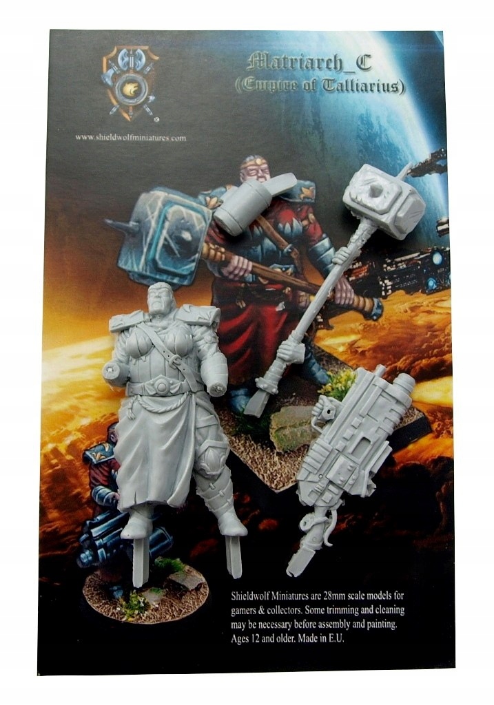 Matriarch C of the Kingdom of Talliareum 1 szt System Inne systemy