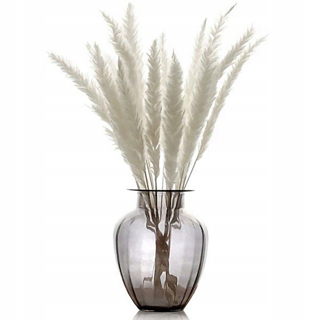 TRAWA SUSZONA x5 SU1 boho pampasowa susz naturalna do wazonu bukiet gałązki