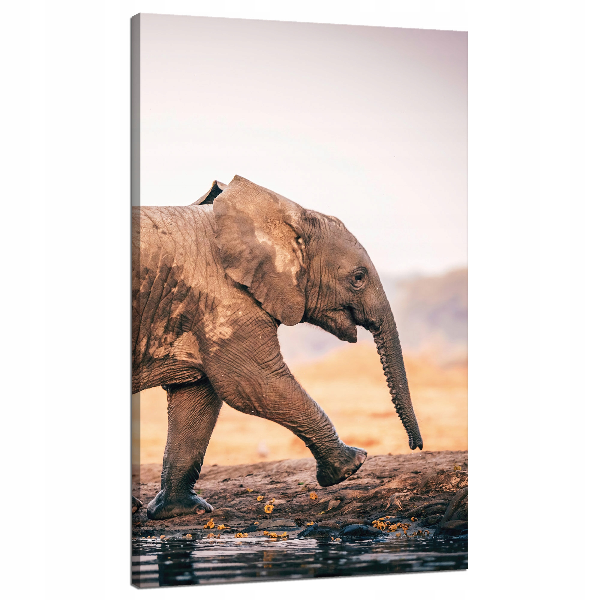 Obraz na plátně Blátivý Běžící slon Příroda 70x120 cm