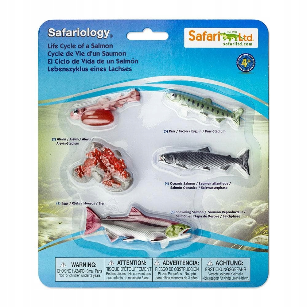 

Figurki Cykl Życia Łososia Safari Ltd. 100267