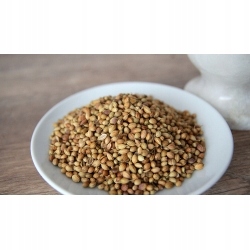 Levně koriandr Celý 25 kg Rafex