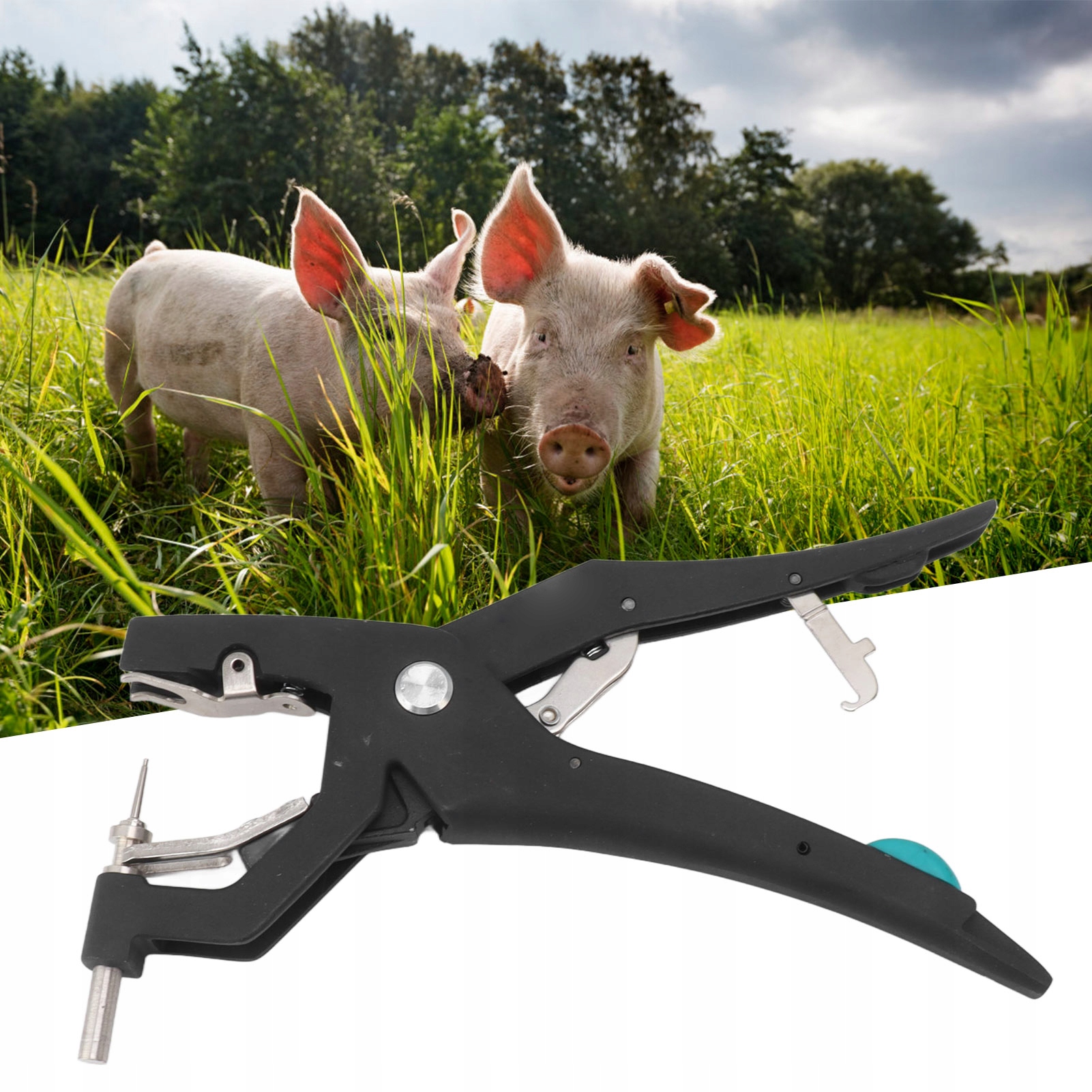 KOLCZYKOWNICA BYDŁO ŚWINIE ORYGINAŁ Marka inny