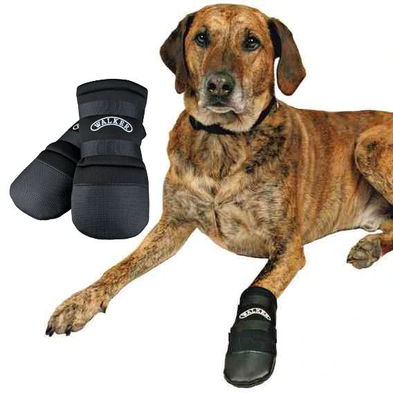 

Trixie Wodoodporne buty antypoślizgowe dla psa M