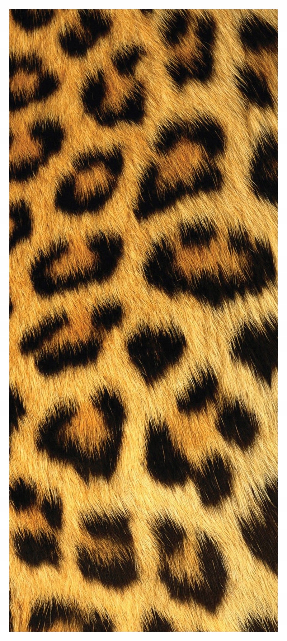 Samolepka Fototapeta Kožešina Béžovo-žluté abstraktní textury 91x211