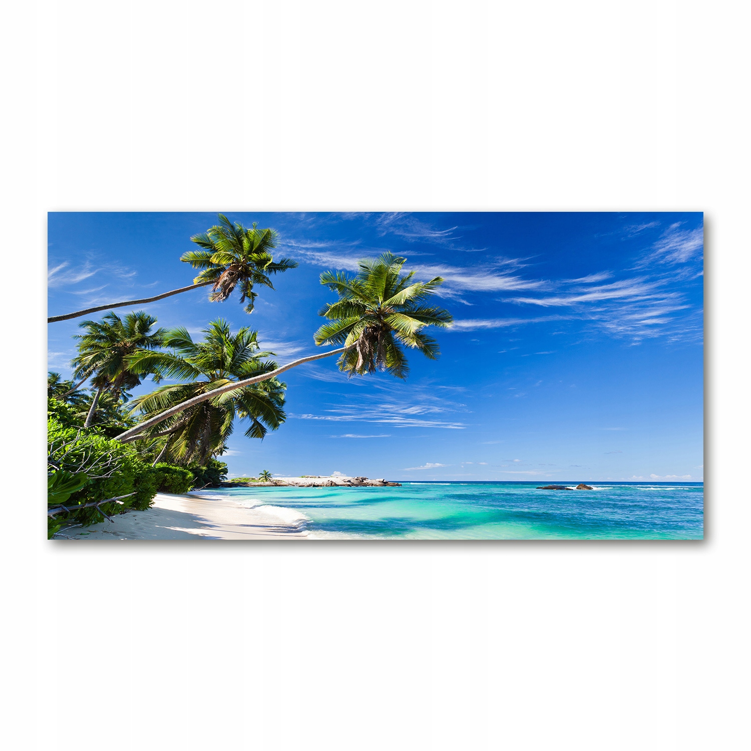 

Foto obraz szklany Tropikalna plaża 140x70