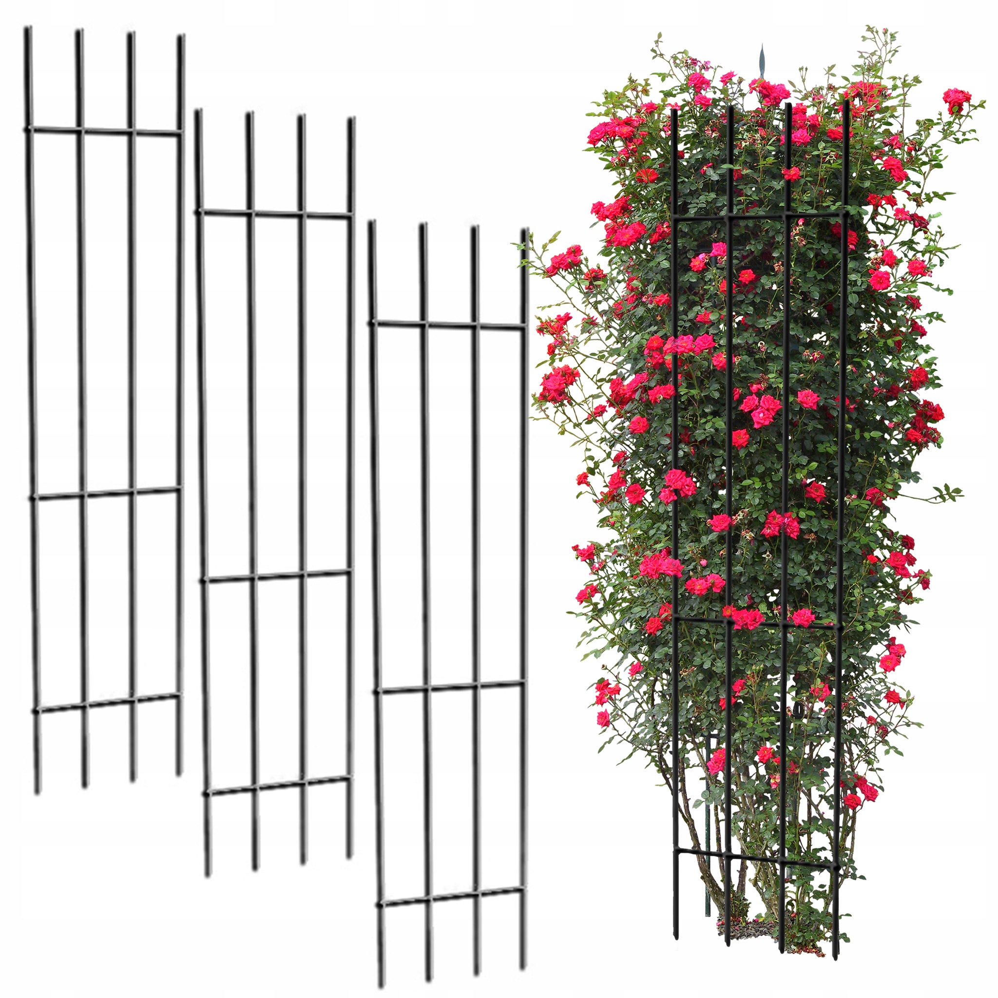 

Pergola Ogrodowa Metalowa Kratka Zestaw 150cm Róż
