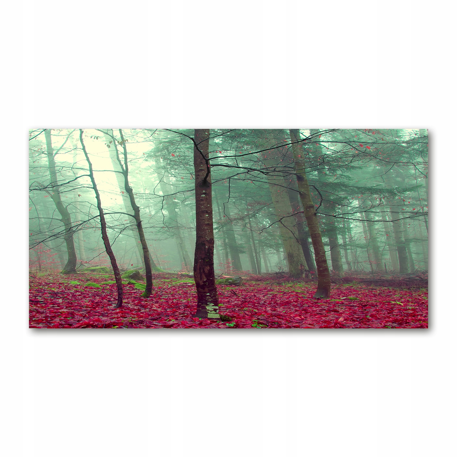 

Foto obraz akryl zdjęcie Jesienne liście 120X60 cm