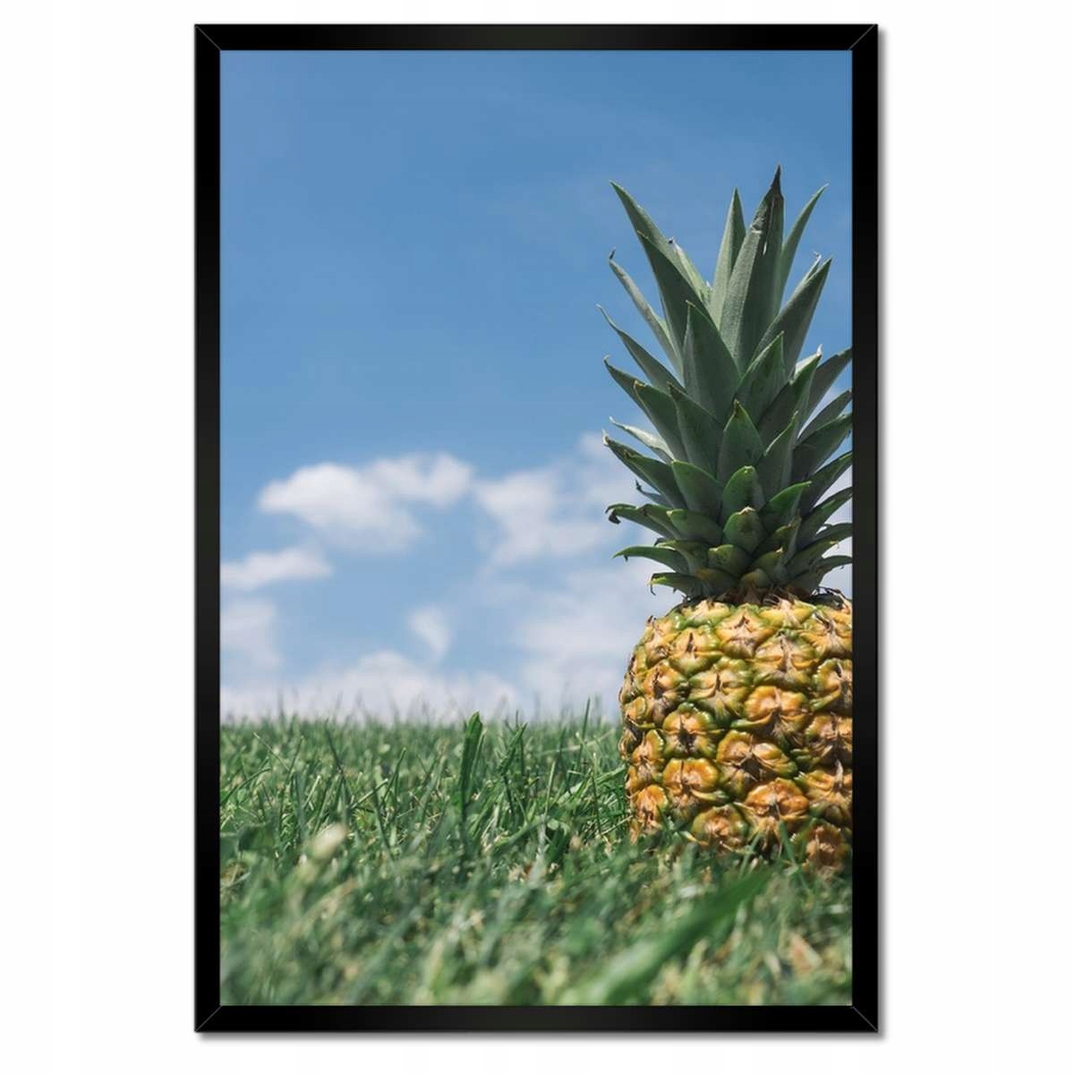 Plakáty v rámu 40x60 Ananasová krajina