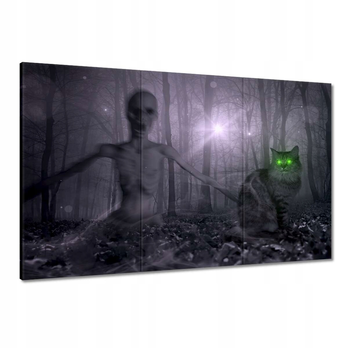 Obrazy 120x80 Kočka Alien Limetka Kočky