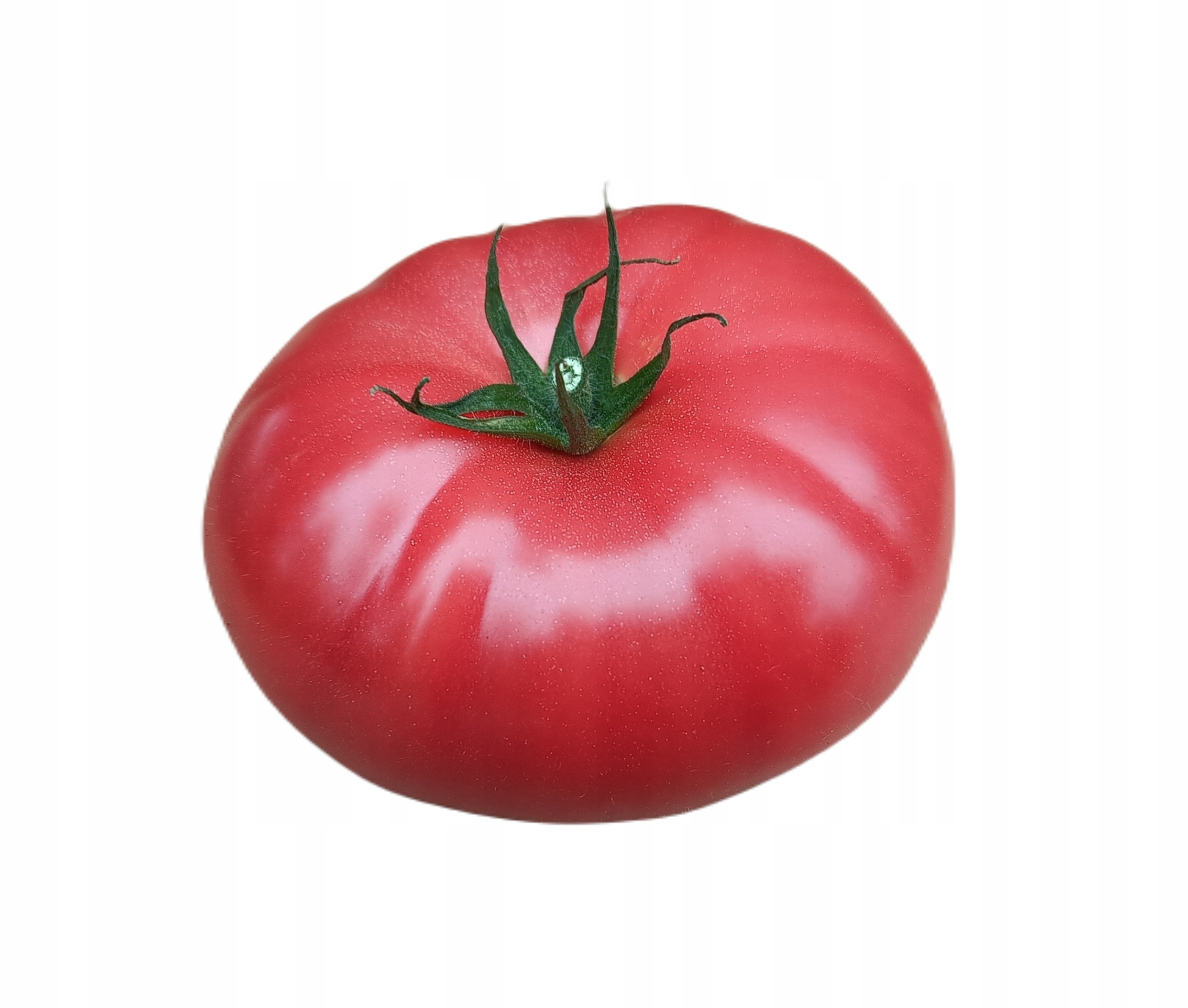 POMIDORY MALINOWE ŚWIEŻE POLSKIE KARTON 6KG PREMIUM 2026