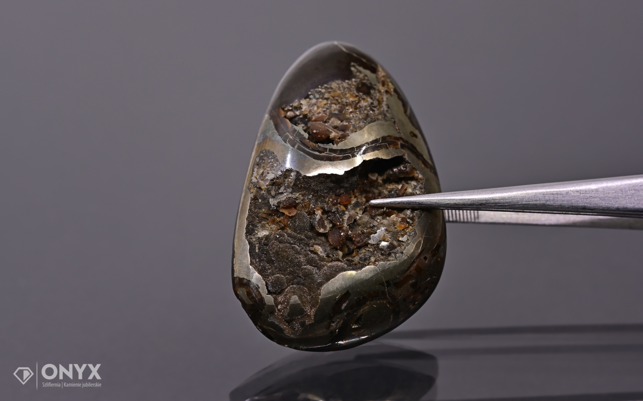 Amonit spiritizovaný nepravidelný 46x29 mm