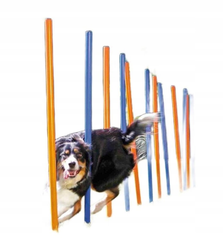 Słupki Agility dla Psa Tyczki Zręcznościow Tor Przeszkód Trixie 115cm 12szt
