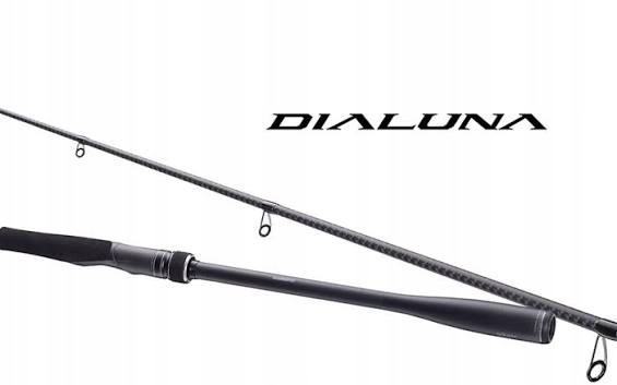 Wedka Shimano Dialuna Inshore Spinning 2,90m 7-35g