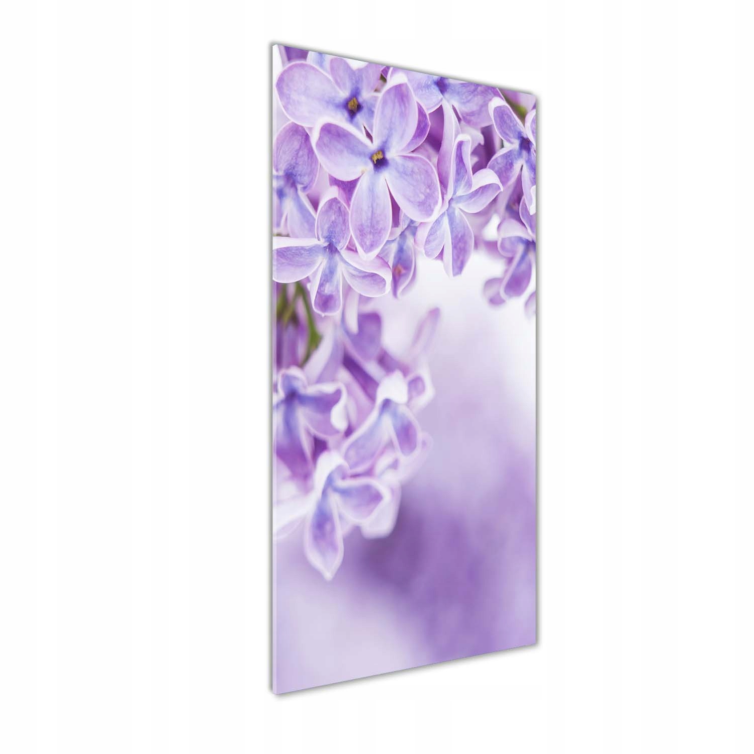 Fotoobraz tvrzené sklo Květy bezu 50x125 cm