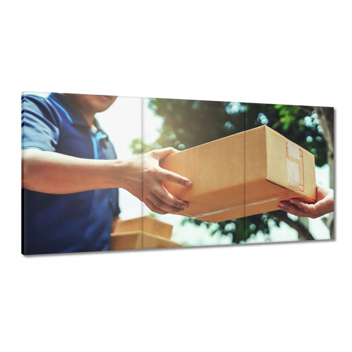 Obrazy 180x90 Dodanie balíka kuriérom