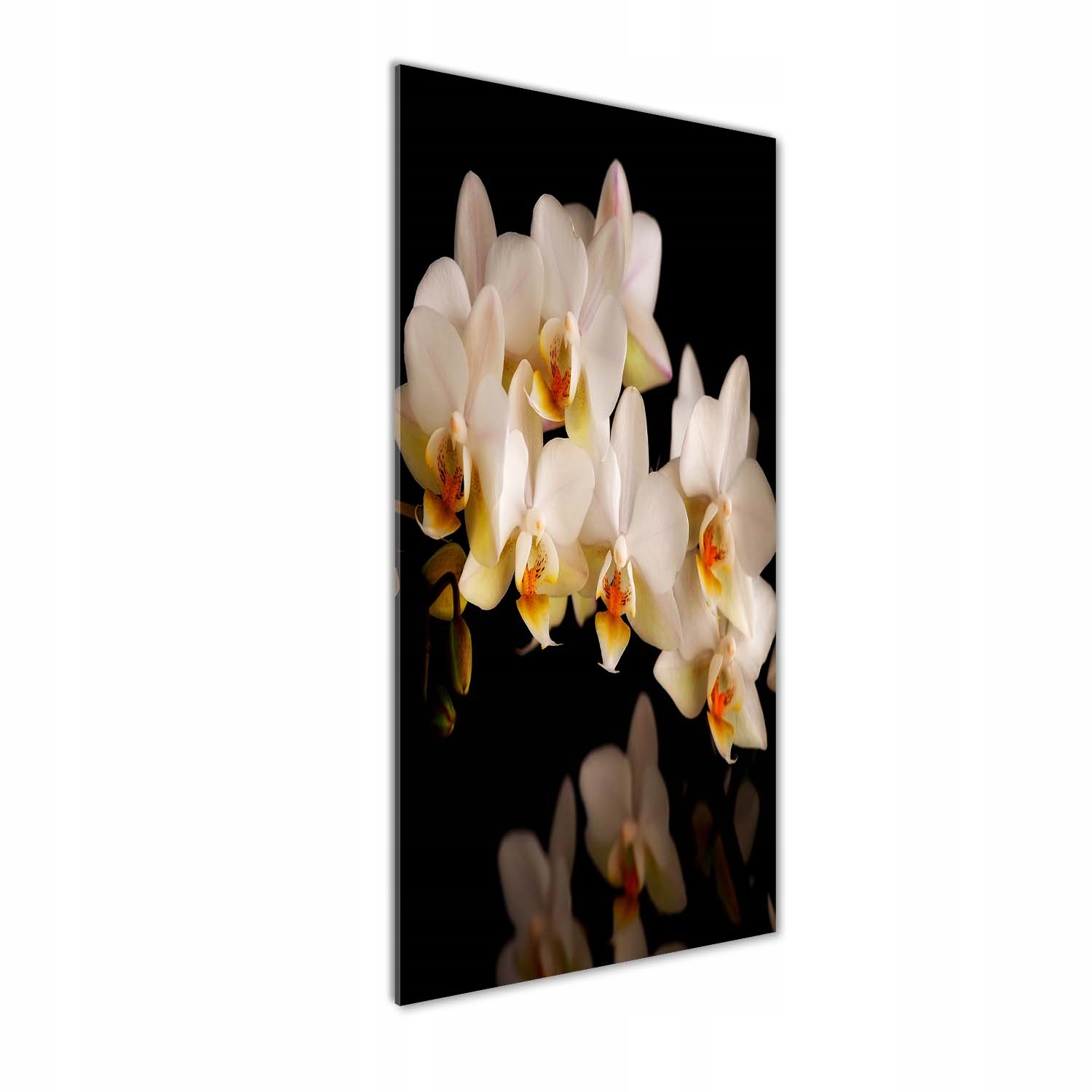 

Foto-obraz szkło hartowane Orchidea 50x125 cm