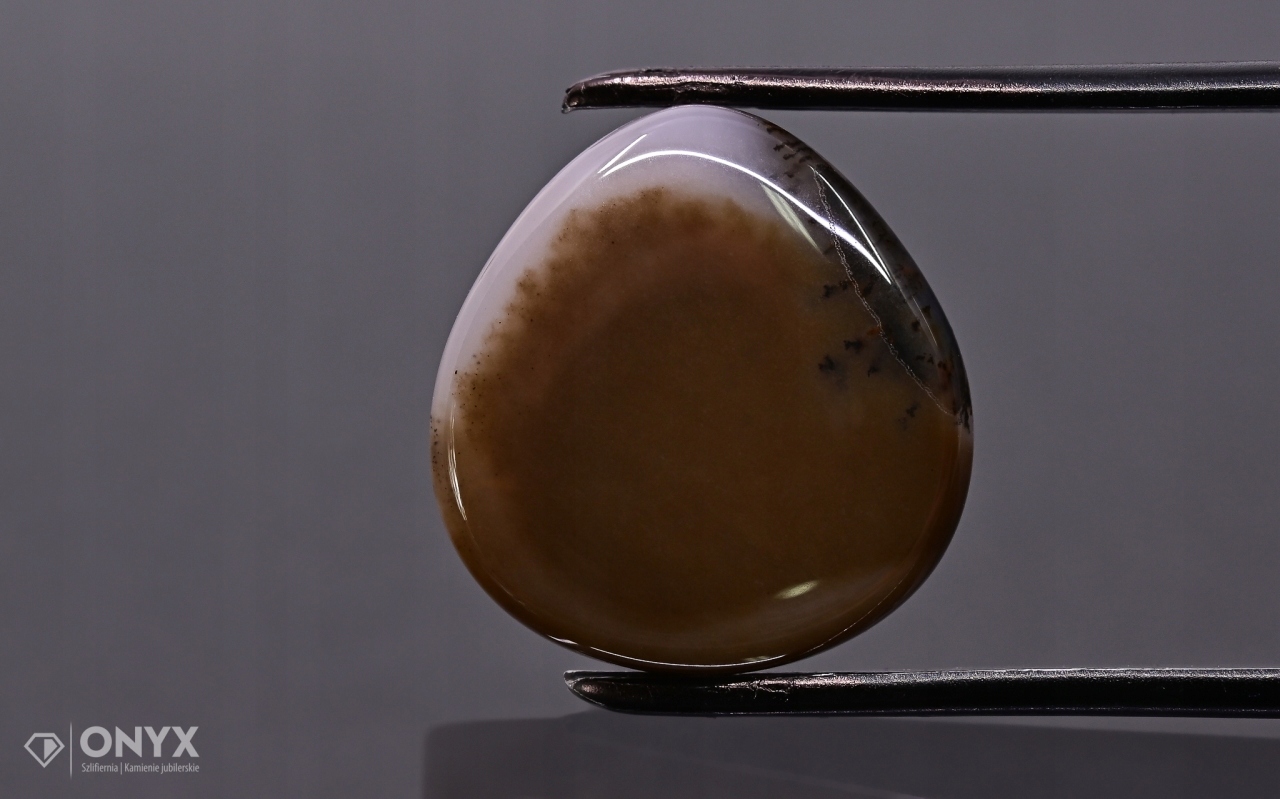 Dendritový achát z Kazachstánu mělký slzný 17,5x17