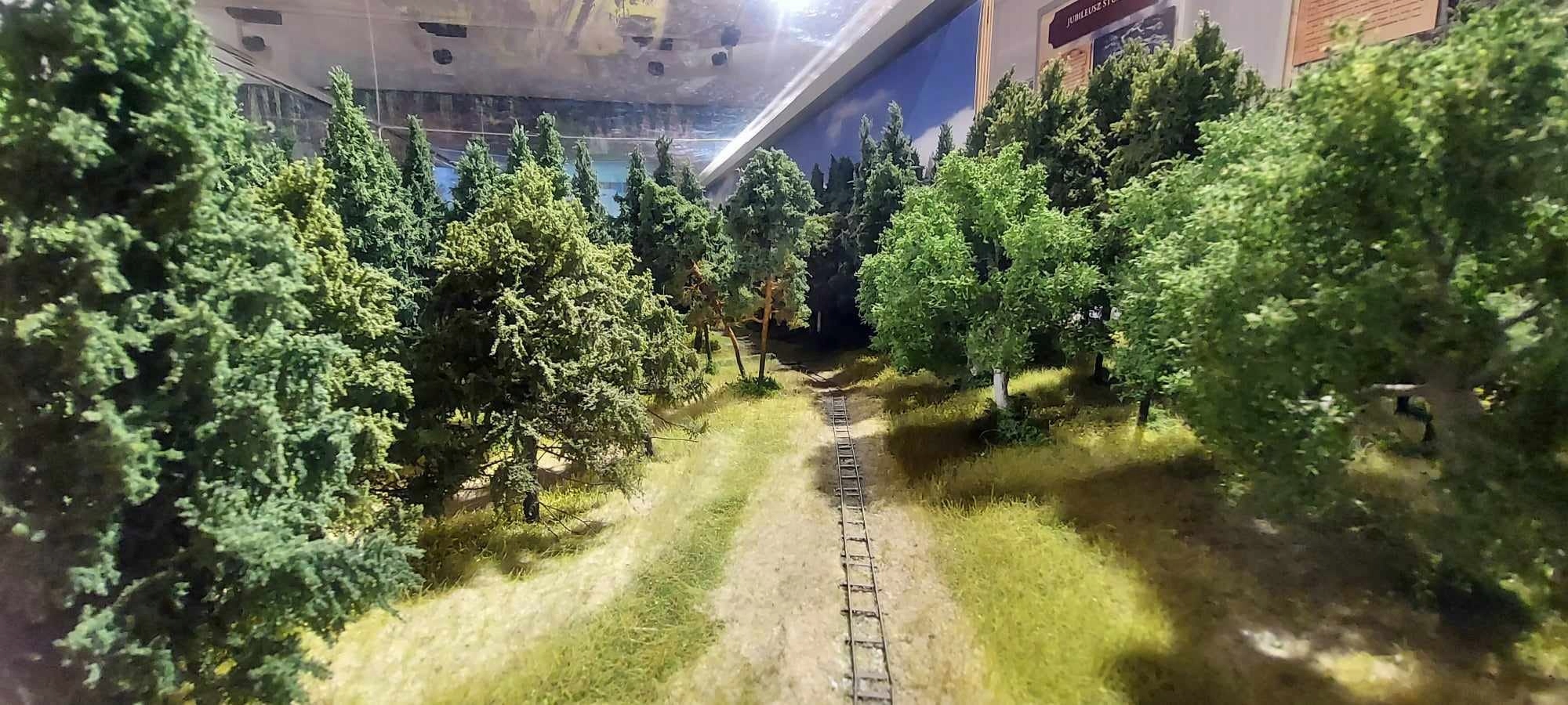 Freon KLON1 - Klon , wysokość 18-20 cm Producent inny