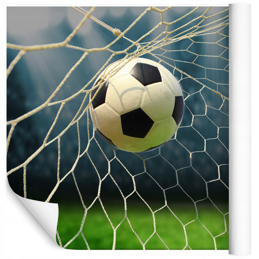 

Fototapeta piłka nożna, boisko, sport 60x90