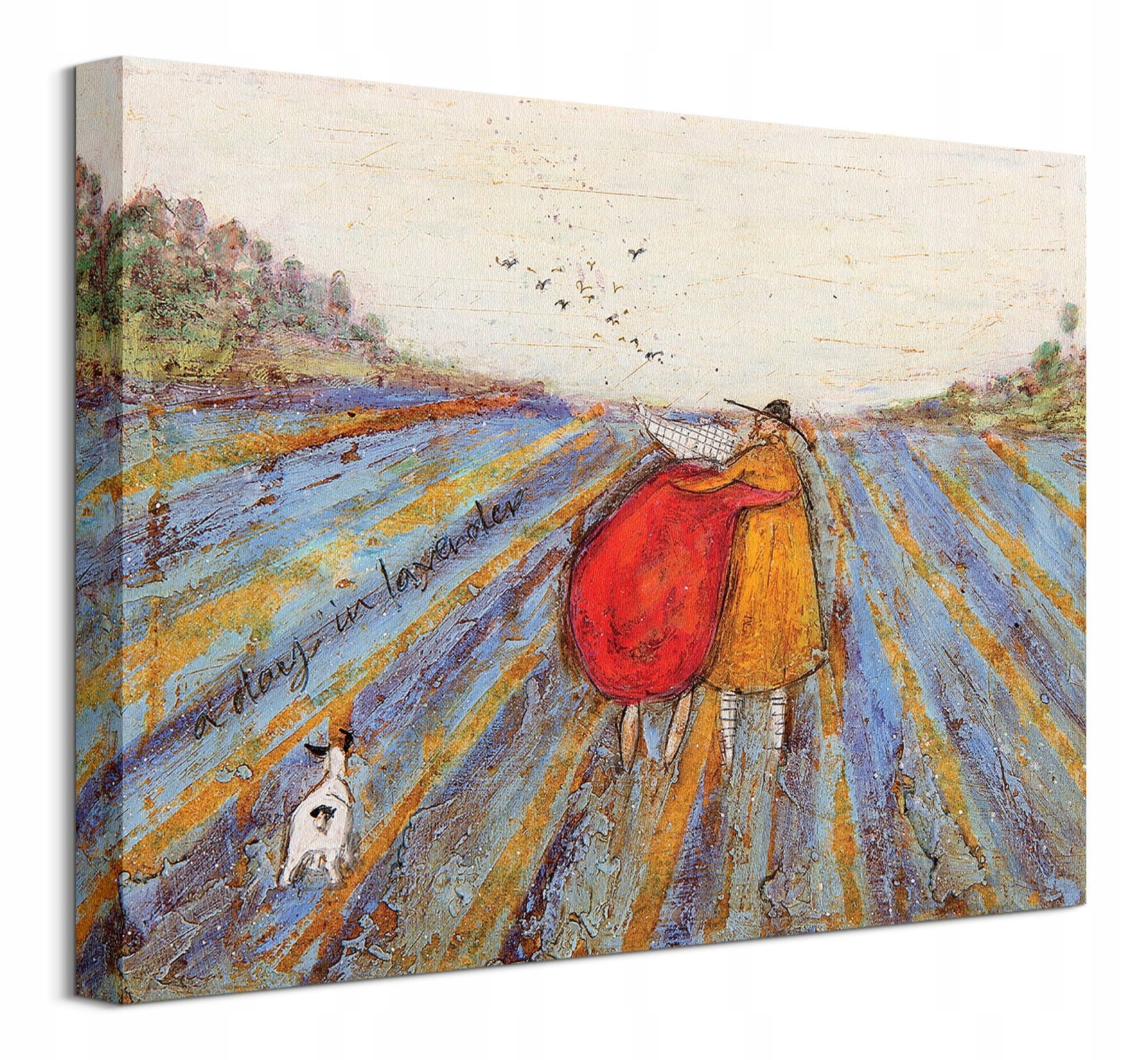 

Sam Toft Lawendowe Pole Obraz na płótnie 40x30 cm