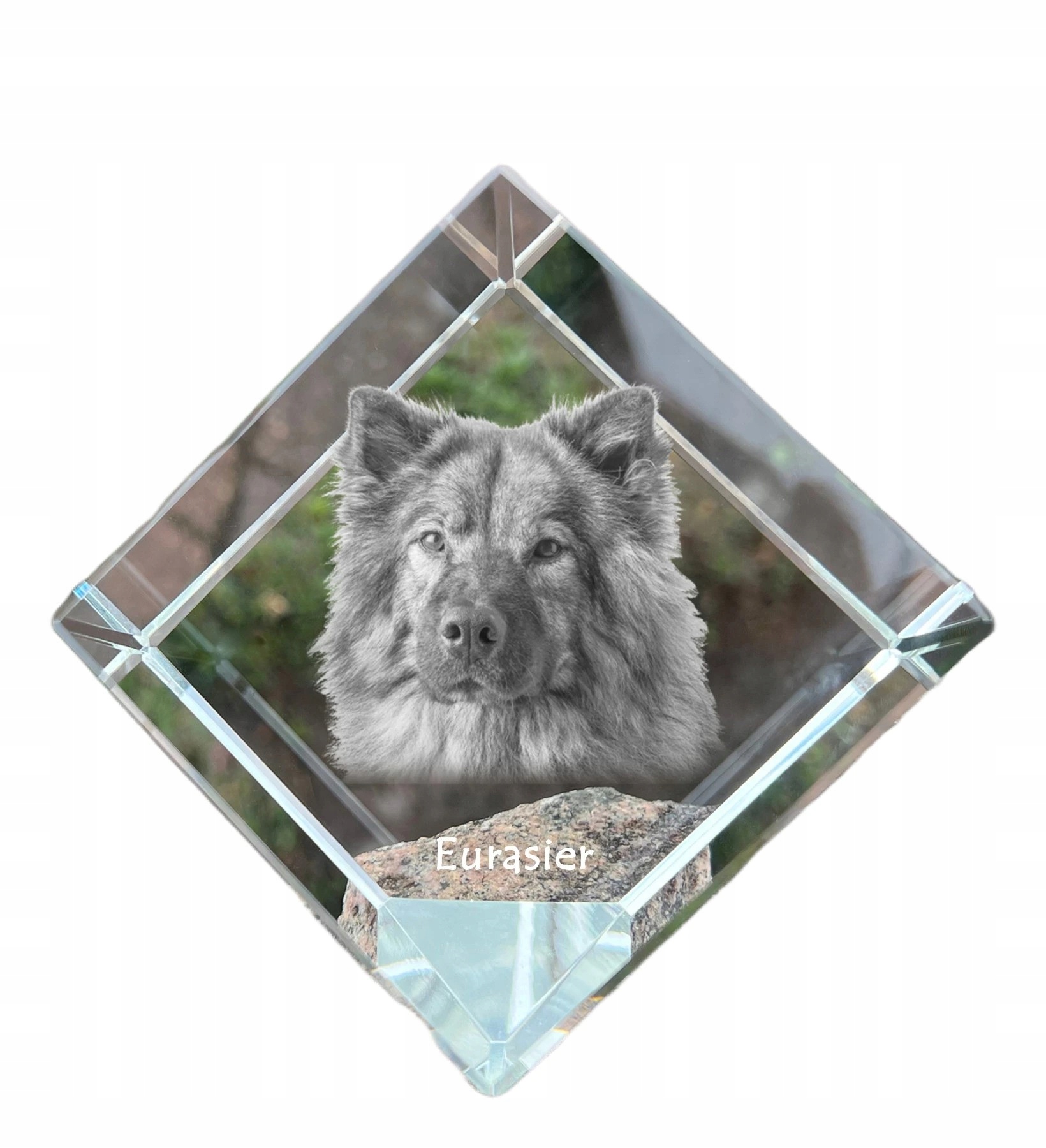 Eurasier krištáľová kocka s fotografiou psa, ozdoba na stôl, tlačidlo