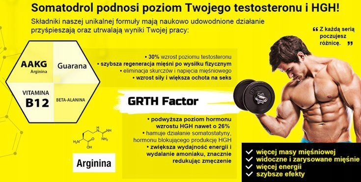 Mocny mega Zestaw Testosteron Libido Somatodrol Cerberus Tribulus Masa Siła — 16