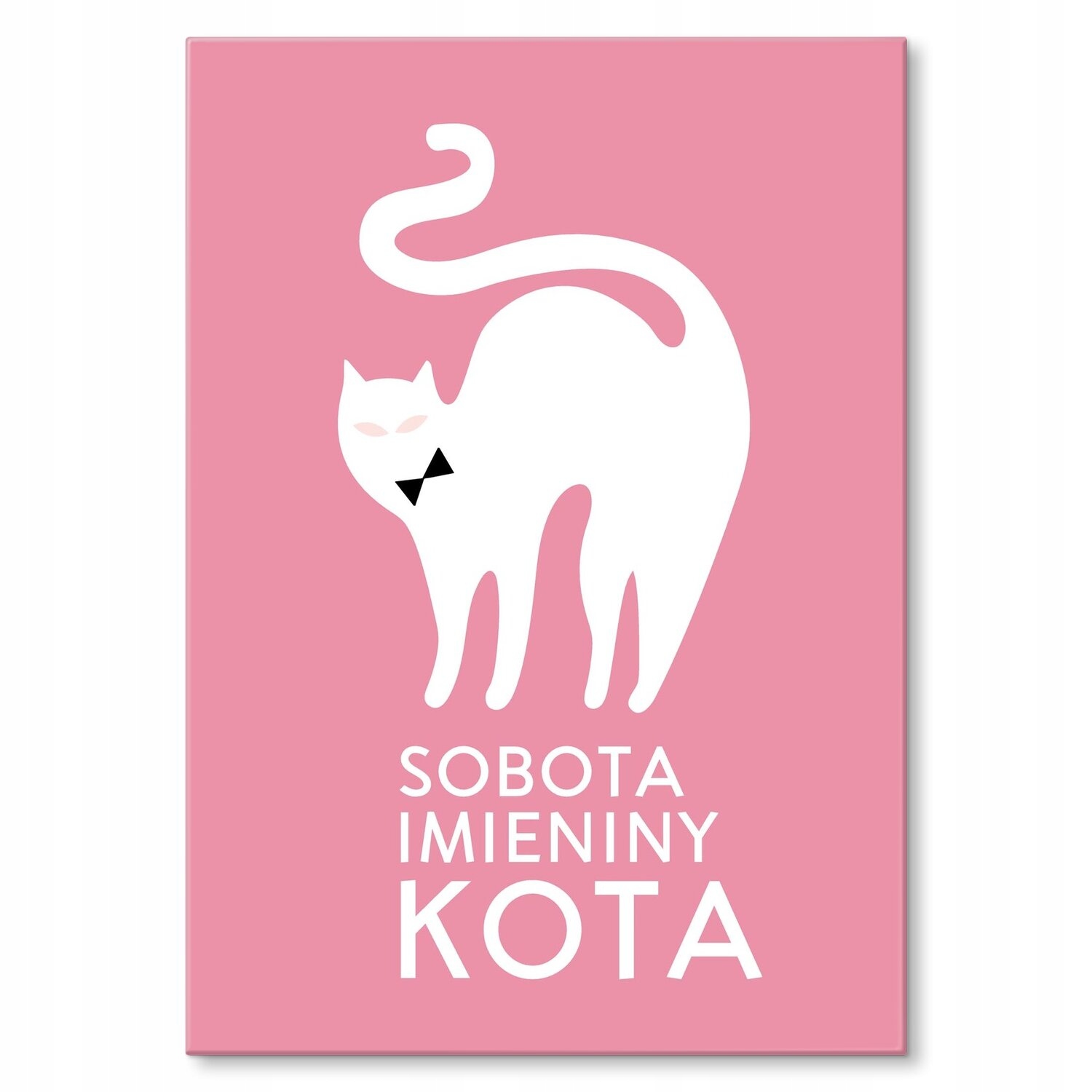 Kovový plakát Sobotní jméno kočky Dárek 22 x 31 cm