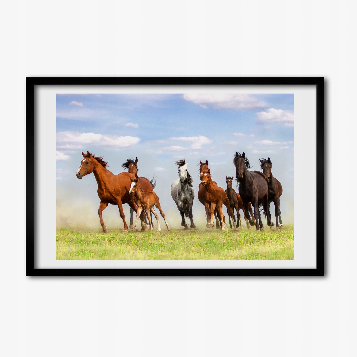 Foto grafika v rámu mdf Cválající koně 60x40 cm