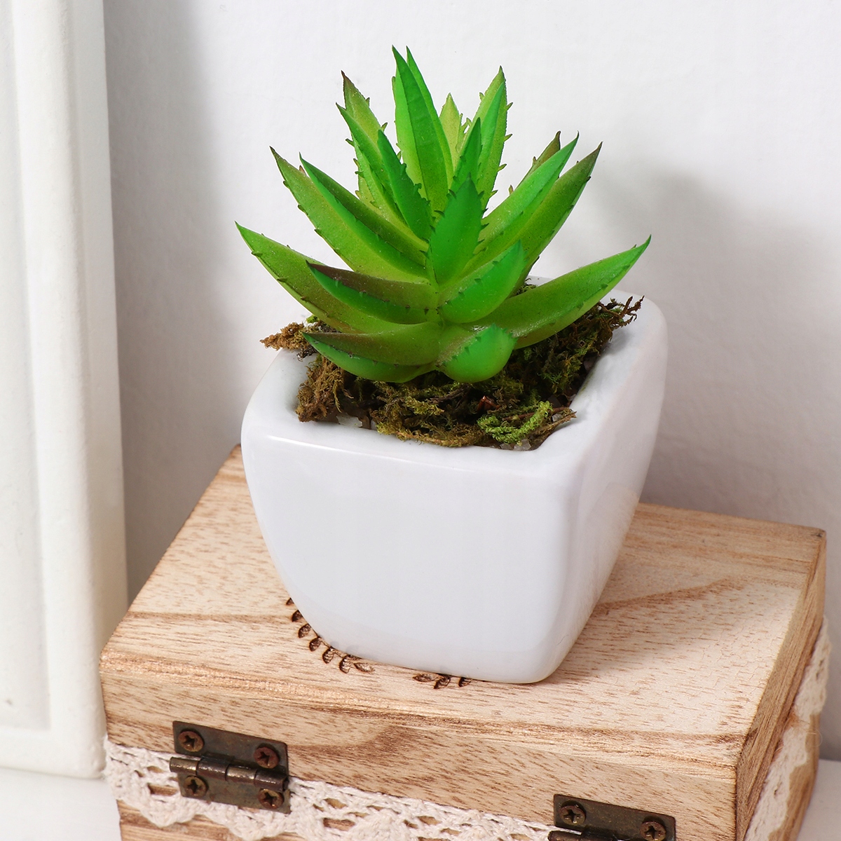 ROŚLINY NATURALNE MCHY I POROSTY DO DEKORACJI OGRODU (60G) Wysokość produktu 4.5 cm