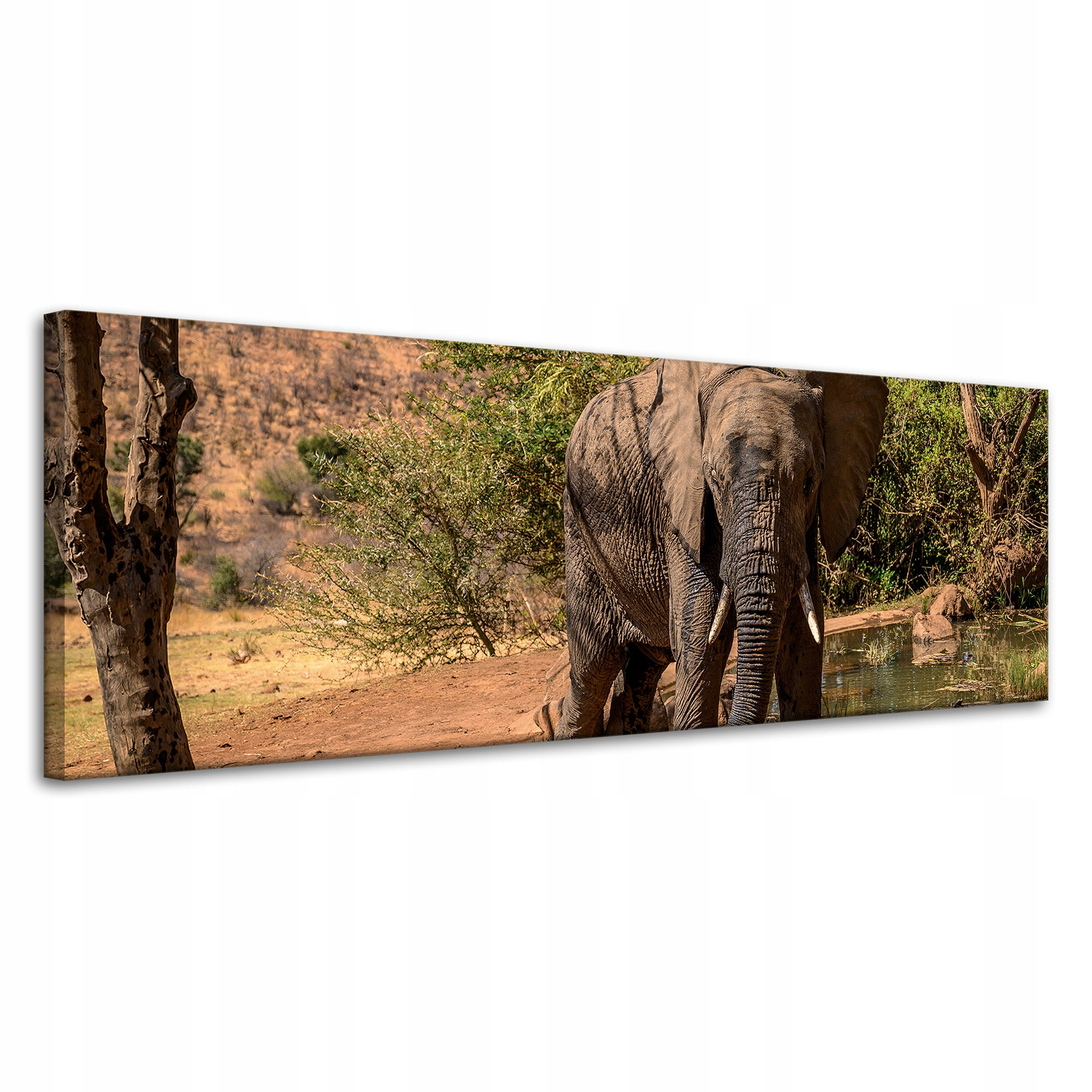 Obraz na plátně Slon Afrika Voda Bahno Slunce 120x40 cm Ideální jako dárek