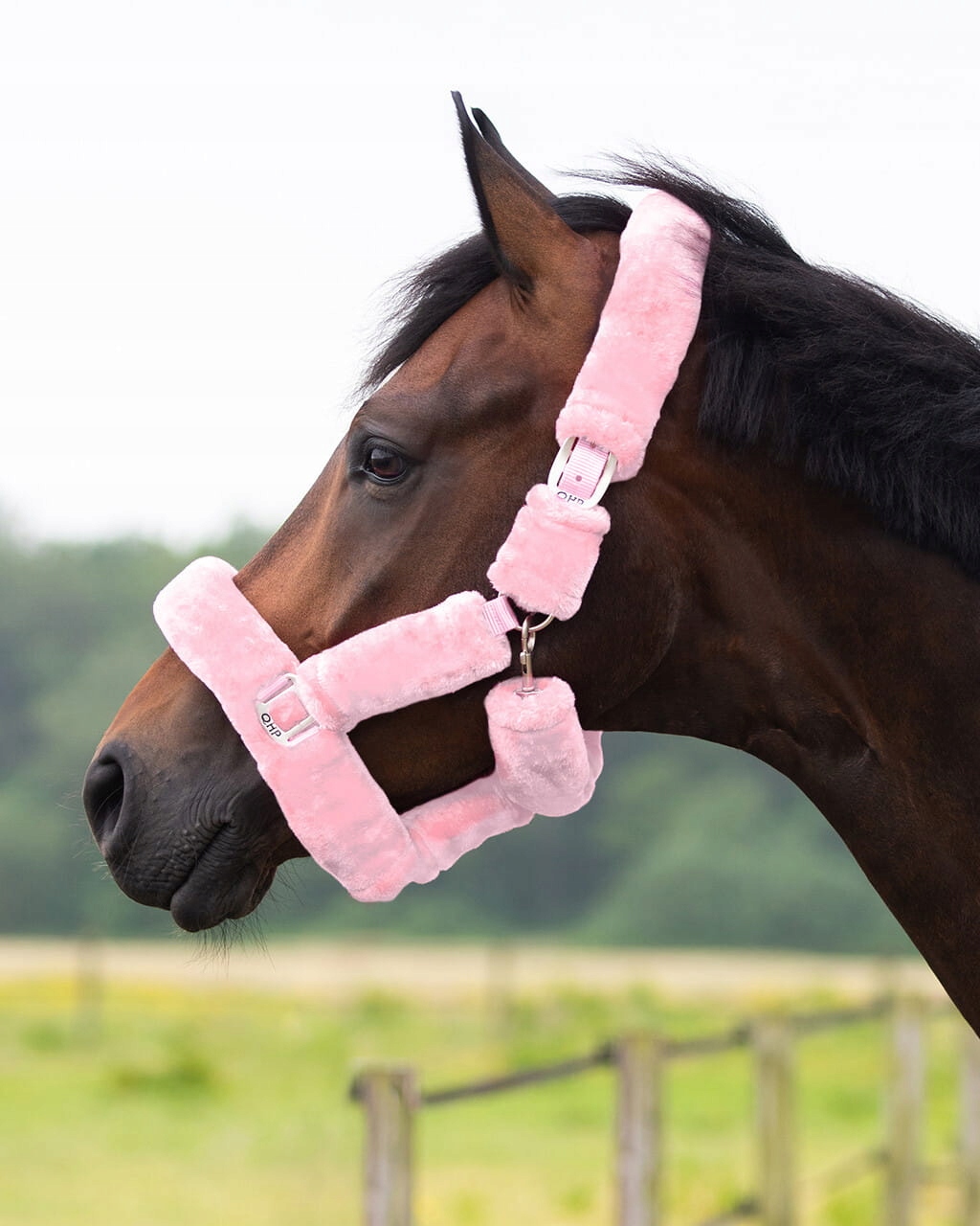 Qhp Kantar futerkowy Alaska Pink Cob