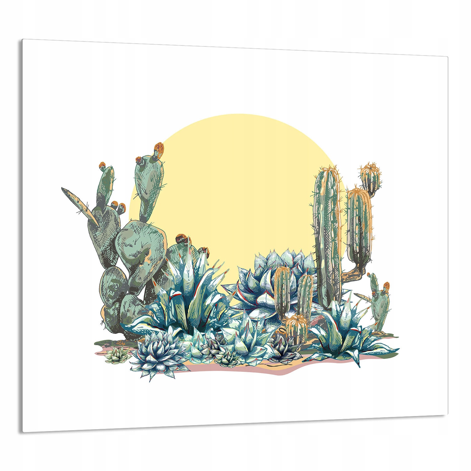 Skleněný Panel Do Kuchyně 65x60 Kaktus Tvrzené Sklo