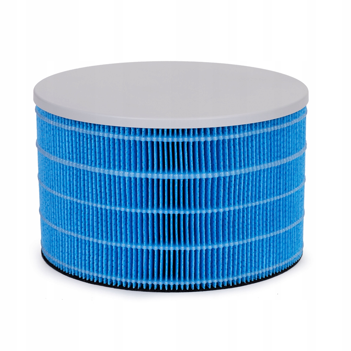 Filtr wodny do oczyszczacza powietrza Webber AP9650