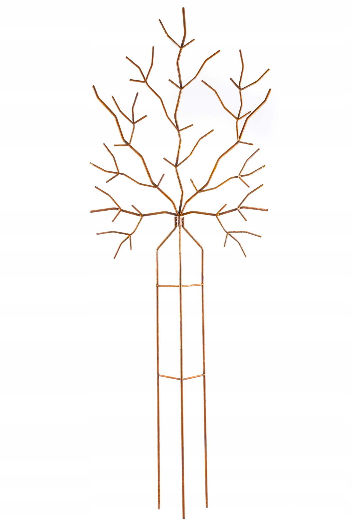 Zahradní treláž Stromová podpěra pro popínavé rostliny, kovová podpěra pro květiny, 160 cm