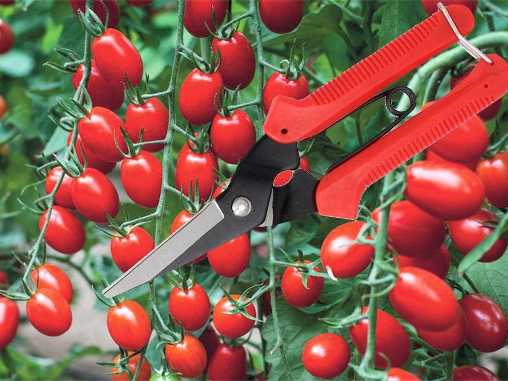 NOŻYCE OGRODOWE RĘCZNE DO GAŁĘZI KRZEWÓW NOŻYCE DO CIĘCIA ROŚLIN TRAWY Marka Verk Group