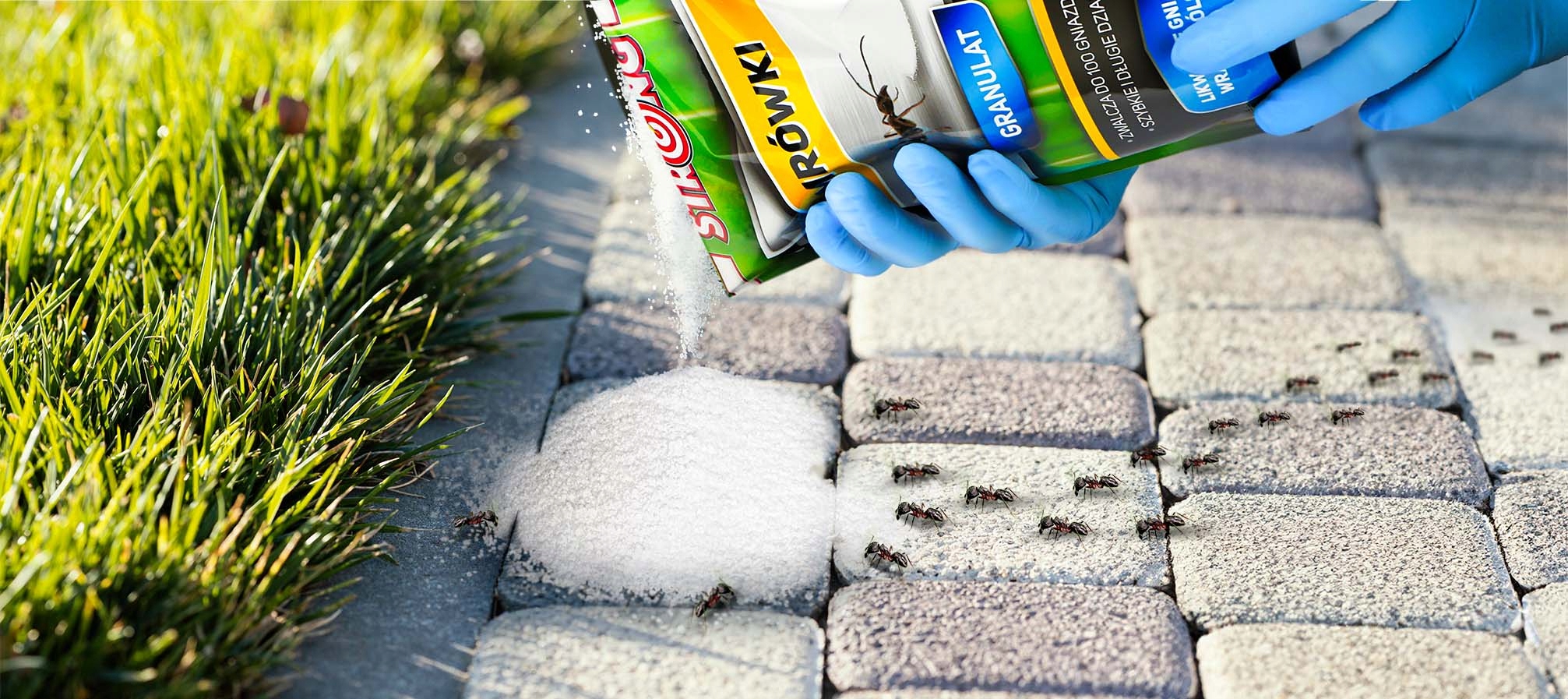 SKUTECZNY ŚRODEK PREPARAT TRUTKA NA MRÓWKI PROSZEK NA MRÓWKI STRONG 2x1 KG Rodzaj proszek