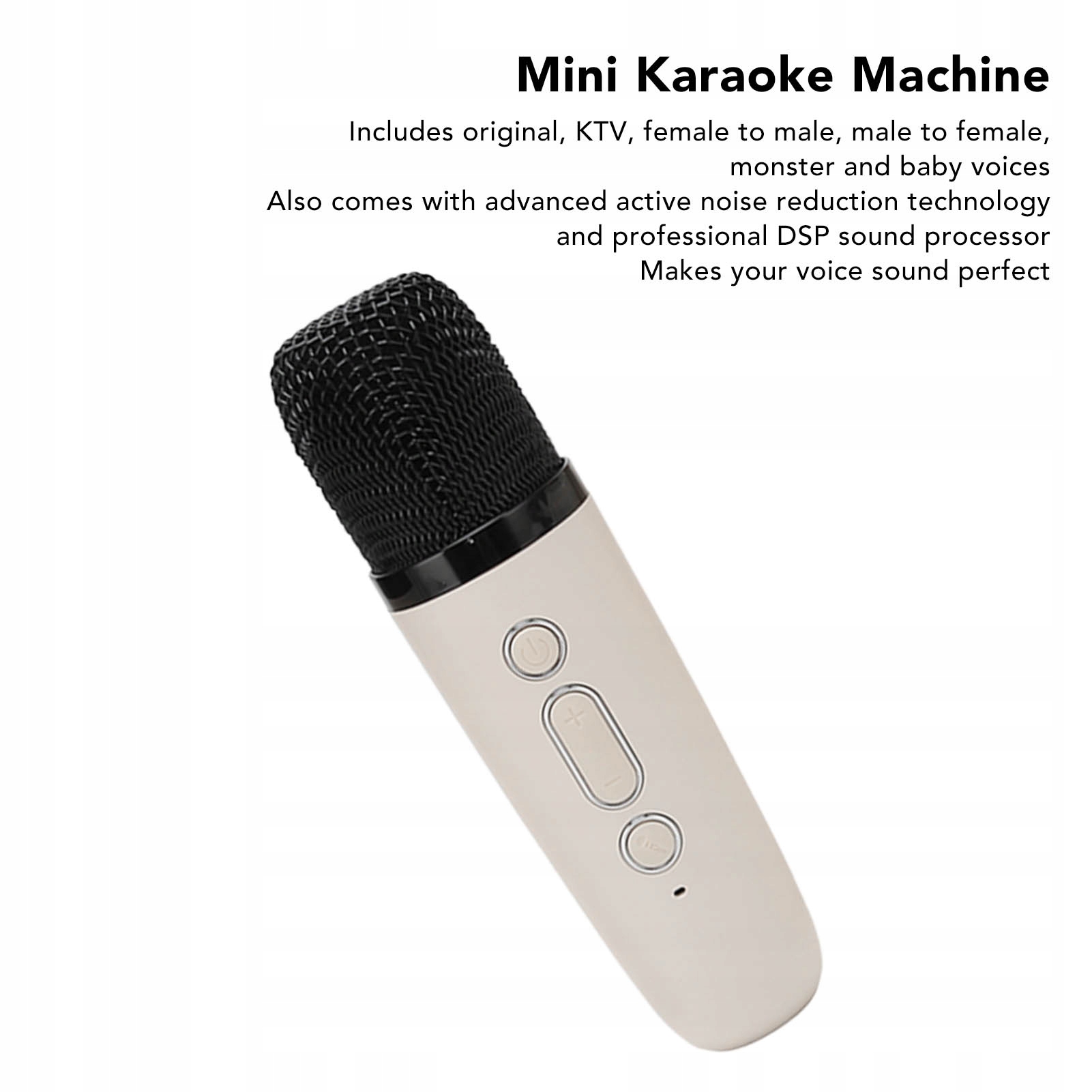 Mini Karaoke Machine HiFi Dynamic Light Przenośny Model 2610230234611