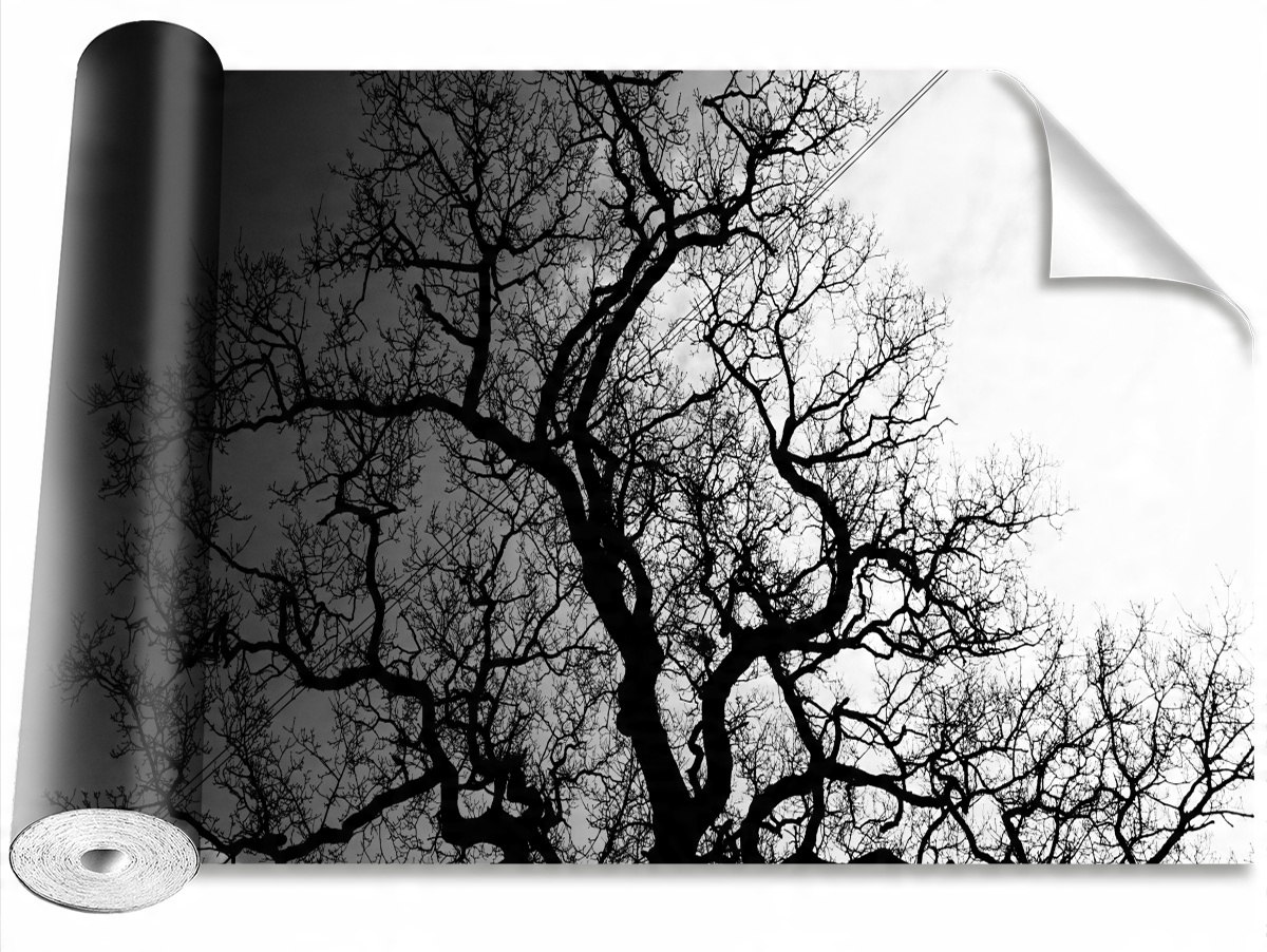 

Tapeta Samoprzylepna MagicStick Drzewo 208x146