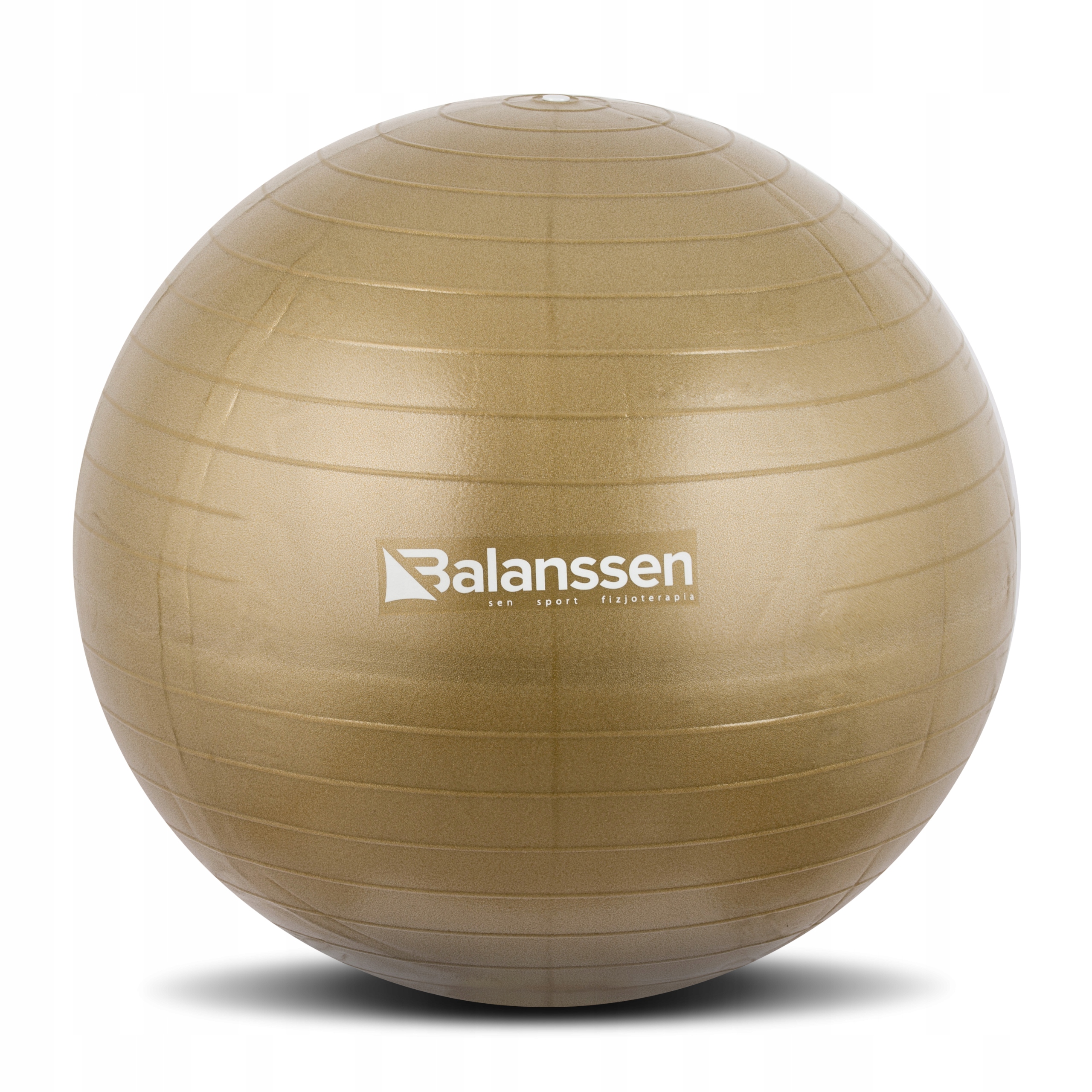 

Piłka Gimnastyczna Rehabilitacyjna Fitness 45 CM