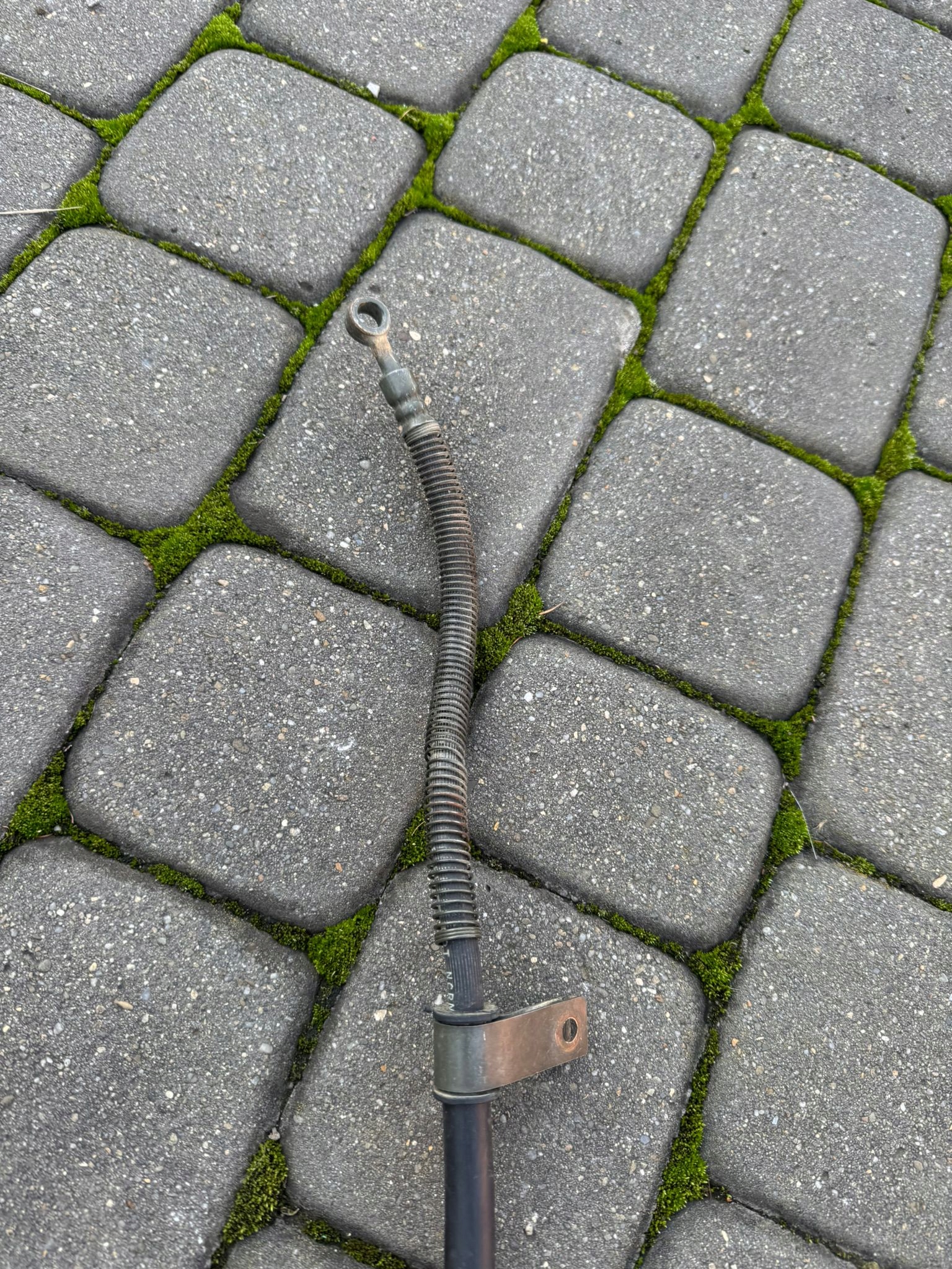 ALT