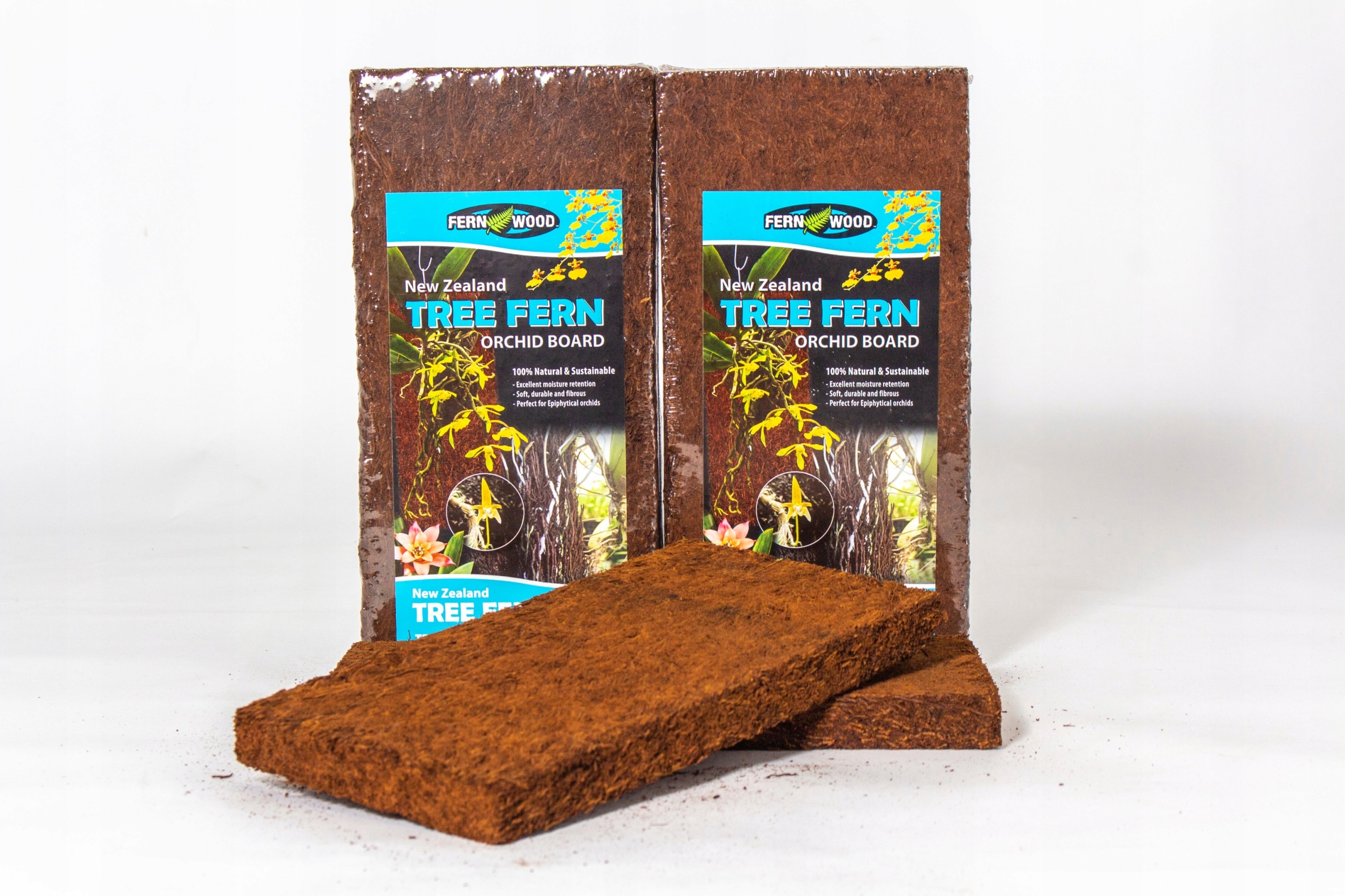 Tree Fern Panel pozadí do terária z stromové kapradiny 30 cm