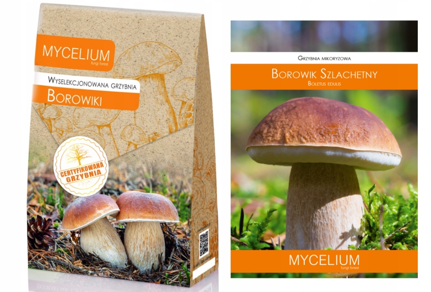 Levně Sada Borowiki certifikovaná podhoubí lesní houby
