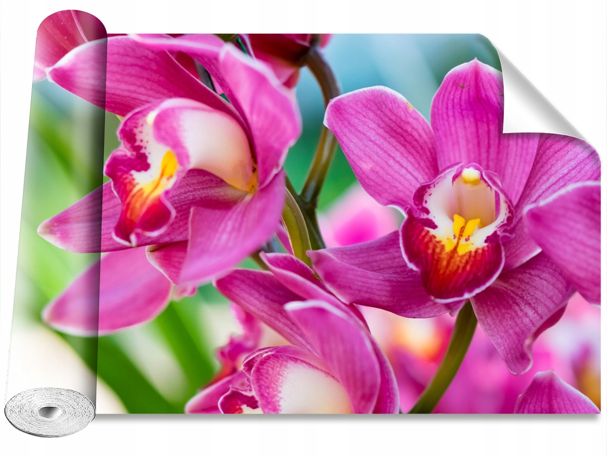 

Tapeta Samoprzylepna Różowe orchidee - 312x219
