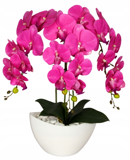 

Storczyk Sztuczny Orchidea Kwiaty Silikonowy