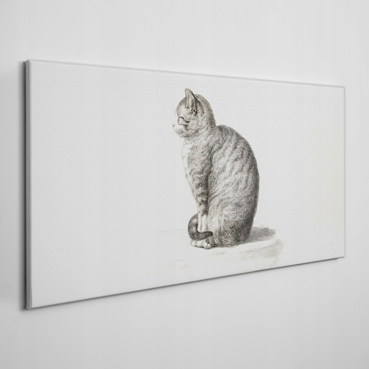 

Obraz na płótnie na ramie Zwierzę kot 120x60 cm