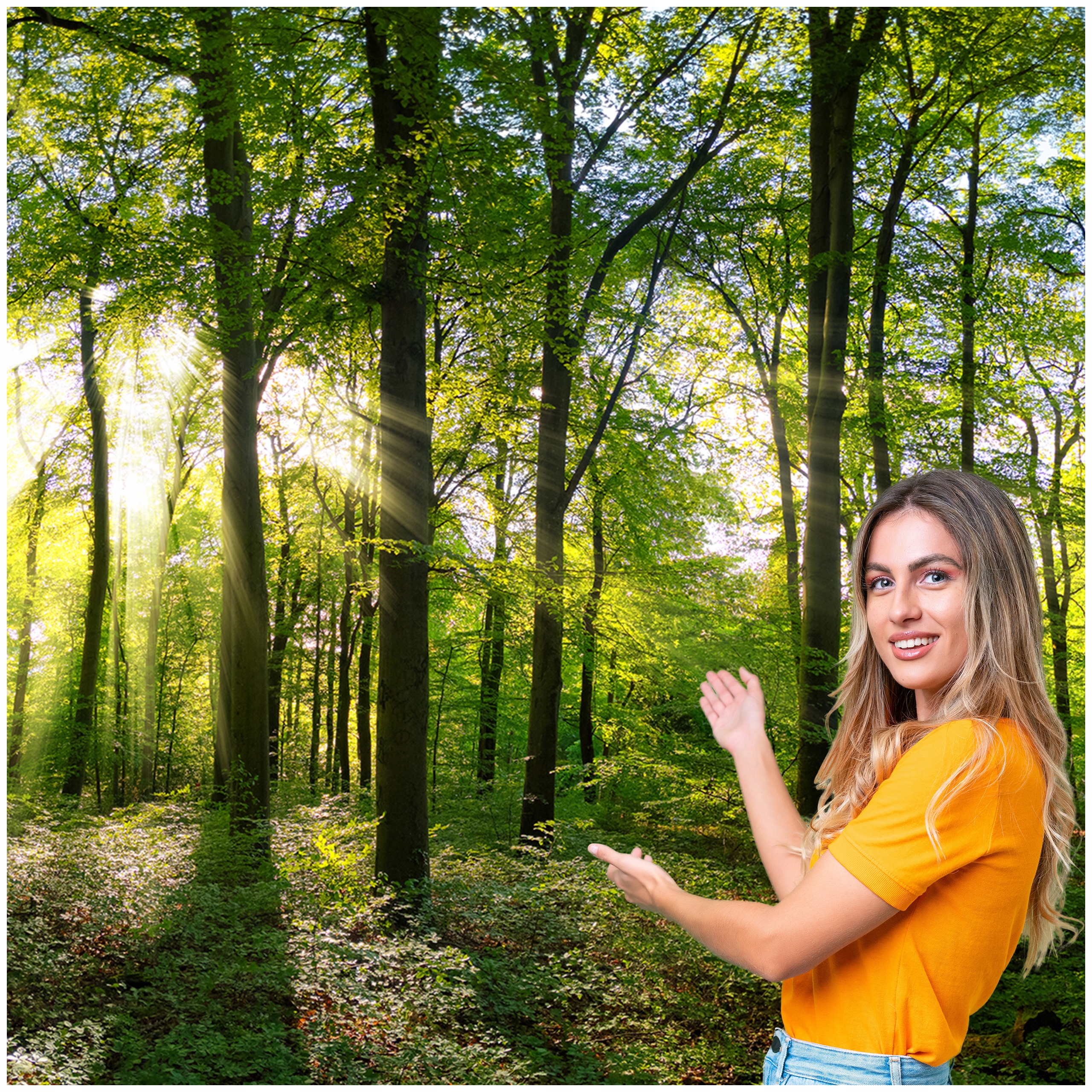 3D fototapeta Obývacia Izba Spálňa Les Stromy Slnko 392x280 P07F