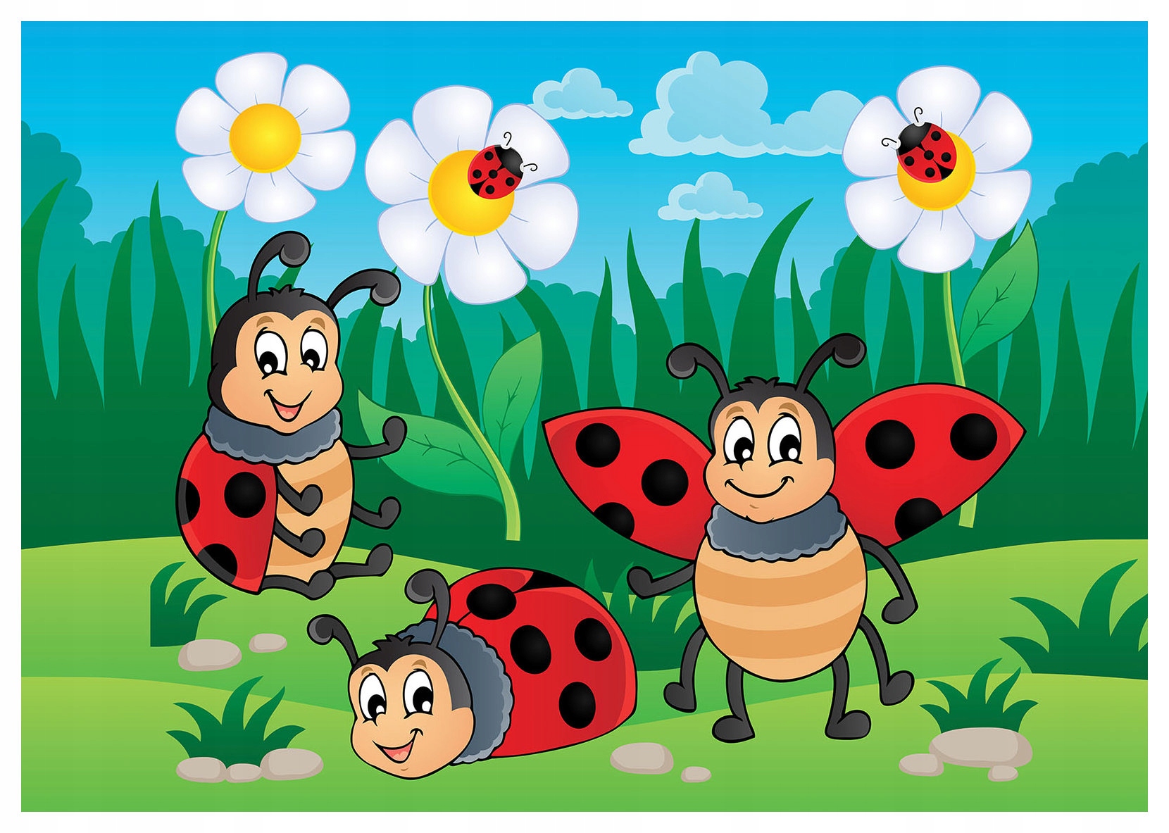 Fototapeta Sluneční berušky v heřmánku do dětského pokoje 312x219 lepidlo