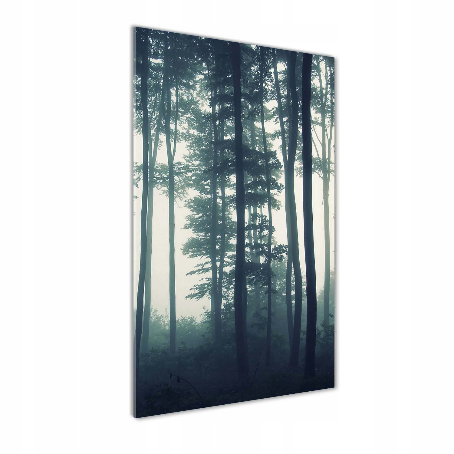 

Nowoczesny fotoobraz akrylowy Mgła w lesie 70x140