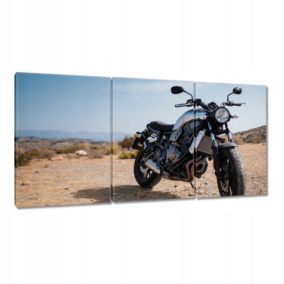 

Obrazy 120x60 Motocykl w terenie